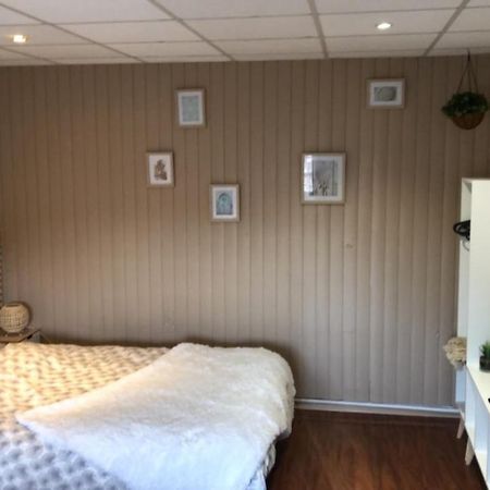 Ferienwohnung Le Printemps De Melusine Niort Exterior foto