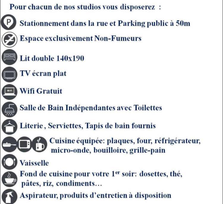 Ferienwohnung Le Printemps De Melusine Niort Exterior foto